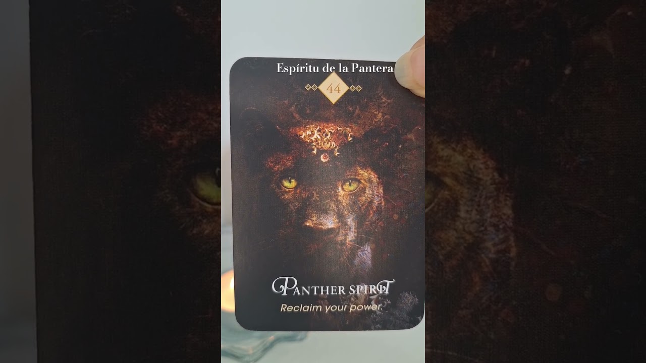 Pantera #or&aacute;culo #aprendiendotarot #tarotespiritual #tarotespa&ntilde;ol #oraculo #cartasdetarot