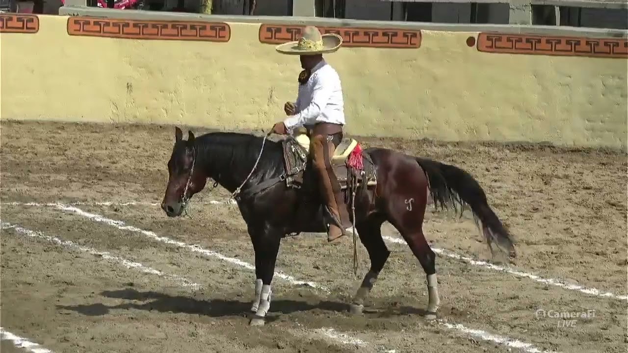 Charreada 70 Aniv de Charros del Pitillal 2