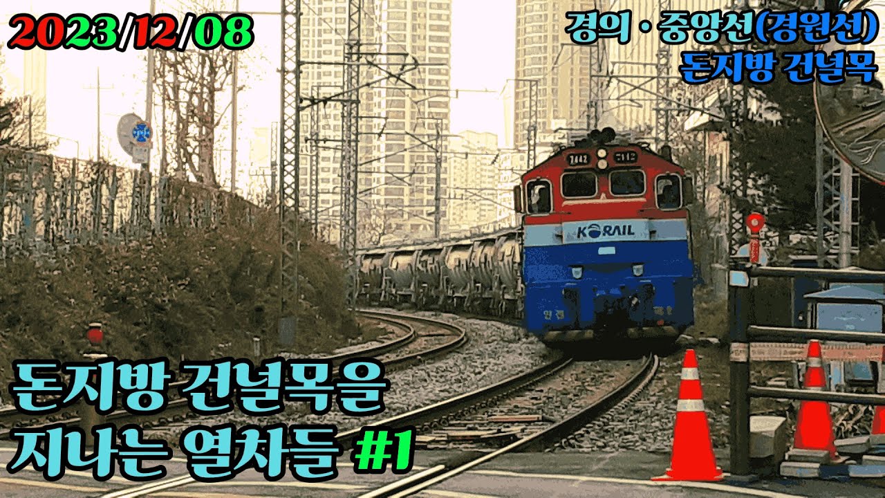 돈지방 건널목을 지나는 열차들 (1)