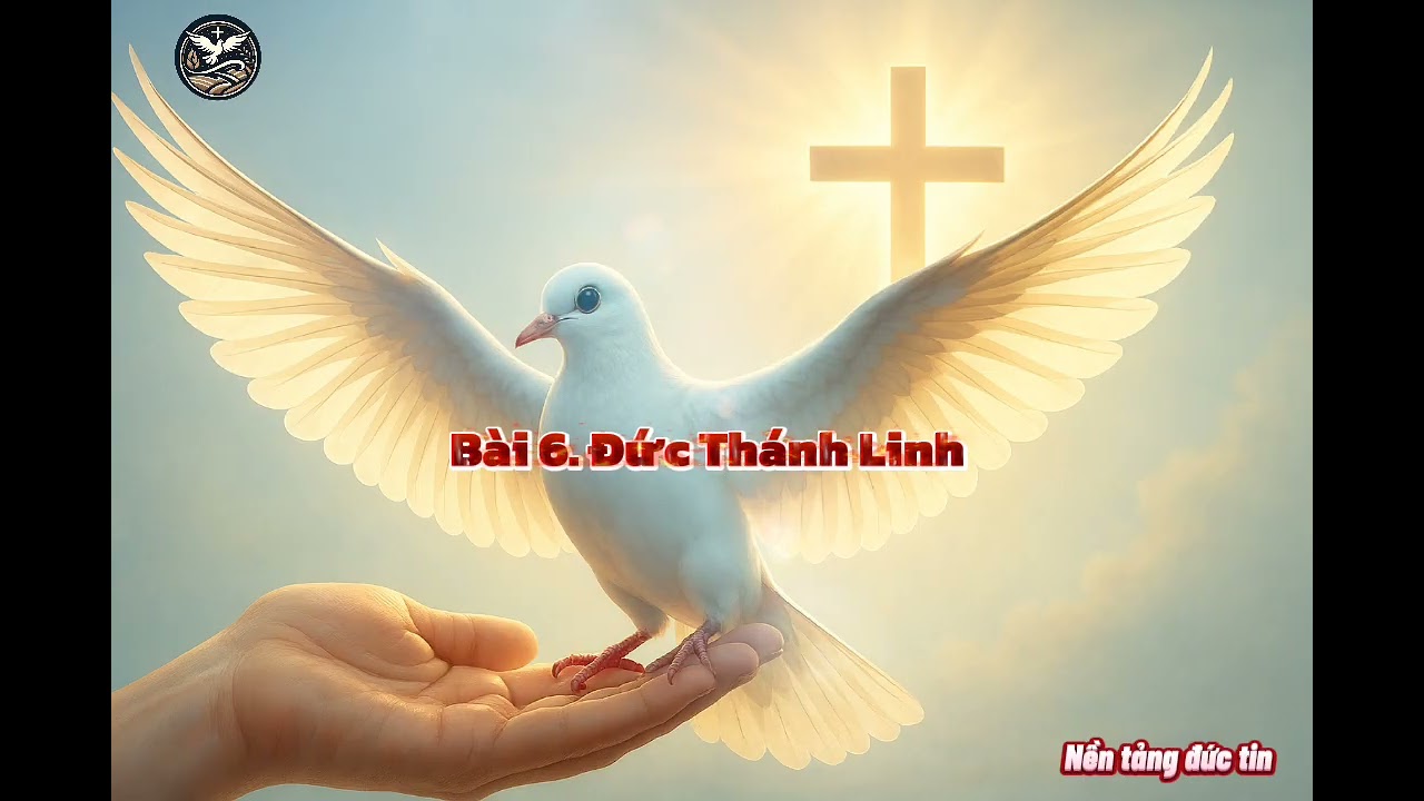 Nền tảng đức tin - Bài 6. Đức Thánh Linh 