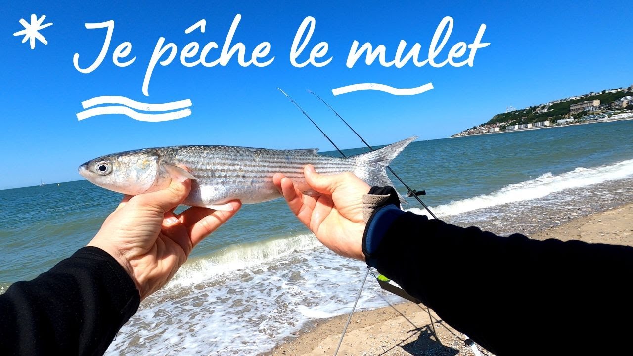 SURFCASTING S02 E08 : CONCOURS SUR LA PLAGE DU HAVRE