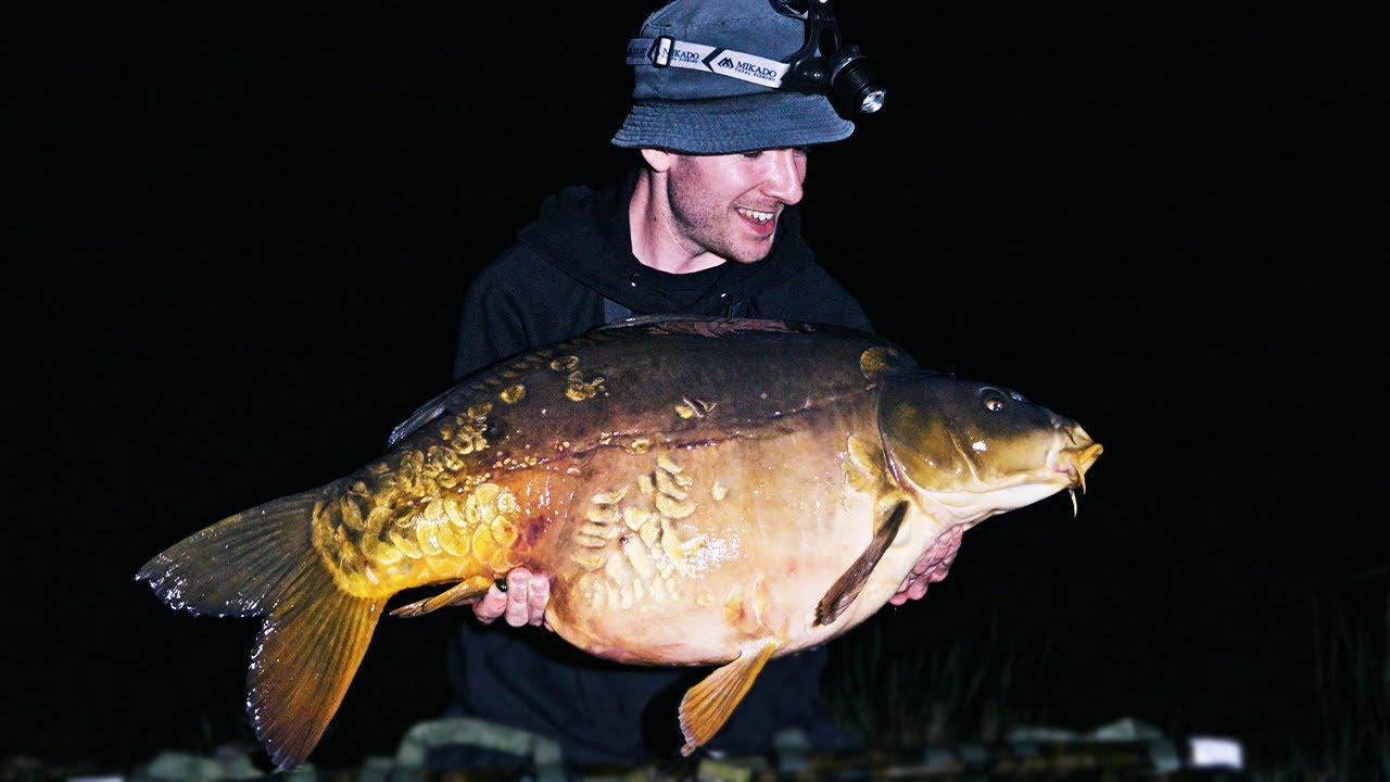 SILNE KARPIE z ŁOWISKA STRONG CARP LAKE!
