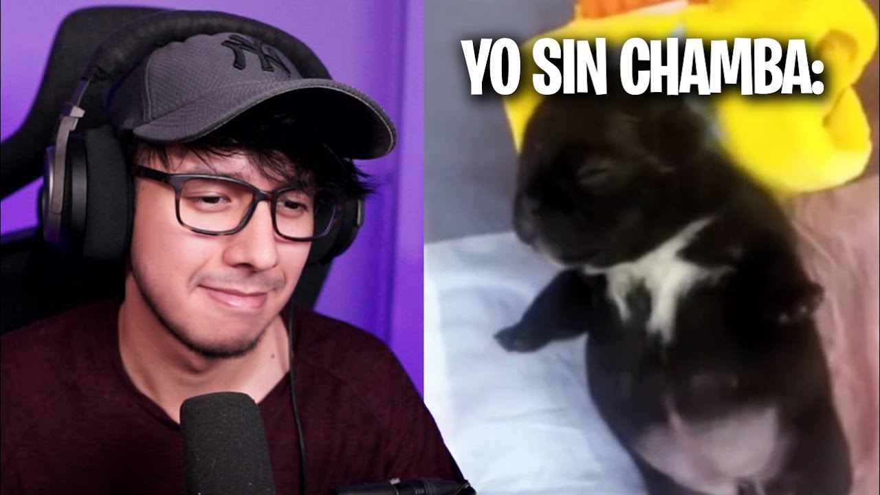 Seguidores me mandan videos xd
