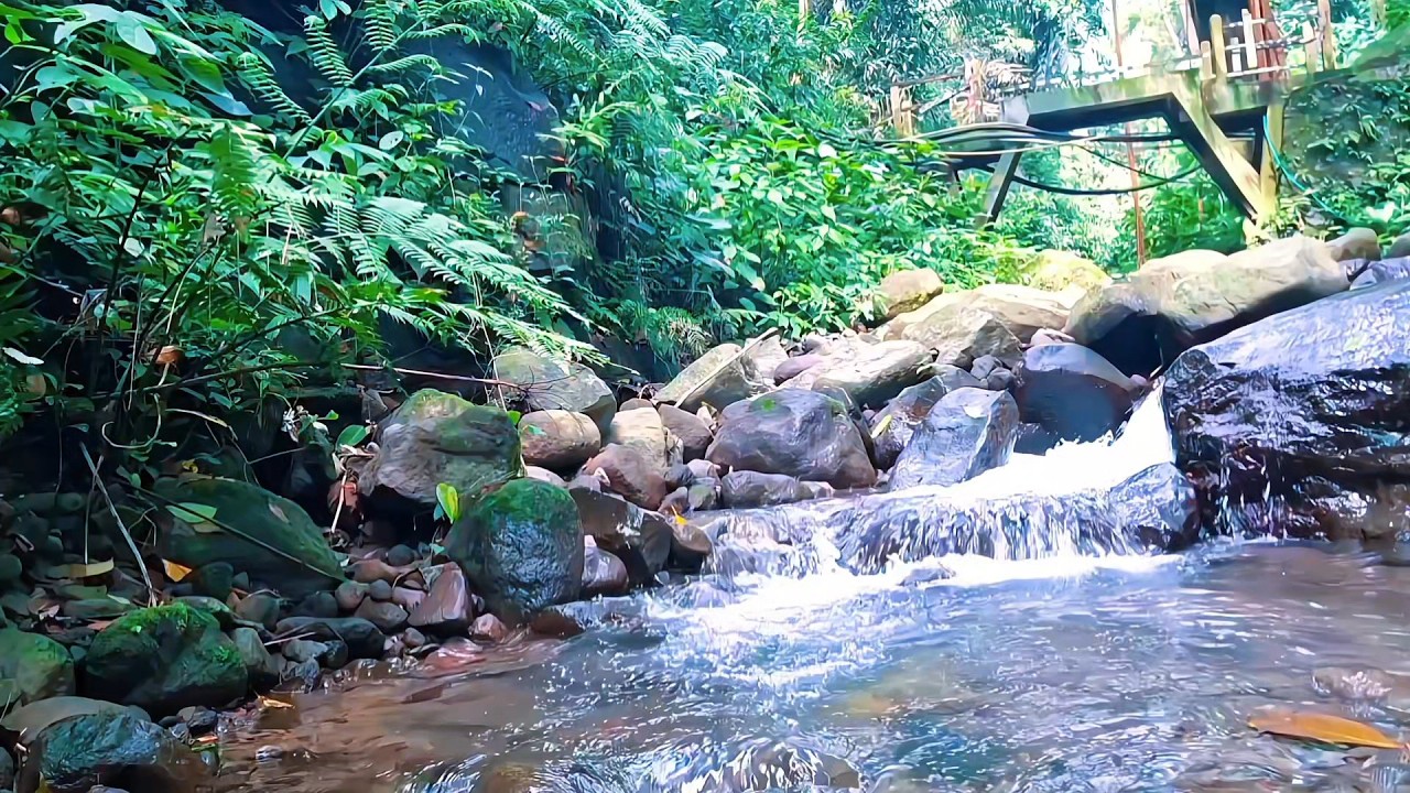 Gentle River Water for Stress Relief Sleep