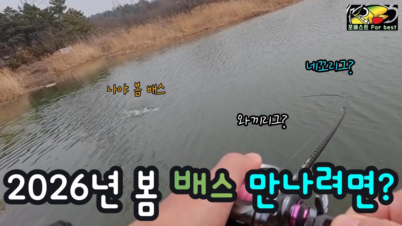 [SUB] 2026년 봄 배스 만나려면? 와끼리그? 네꼬리그? #fishing #bassfishing #배스낚시 #낚시 #루어낚시