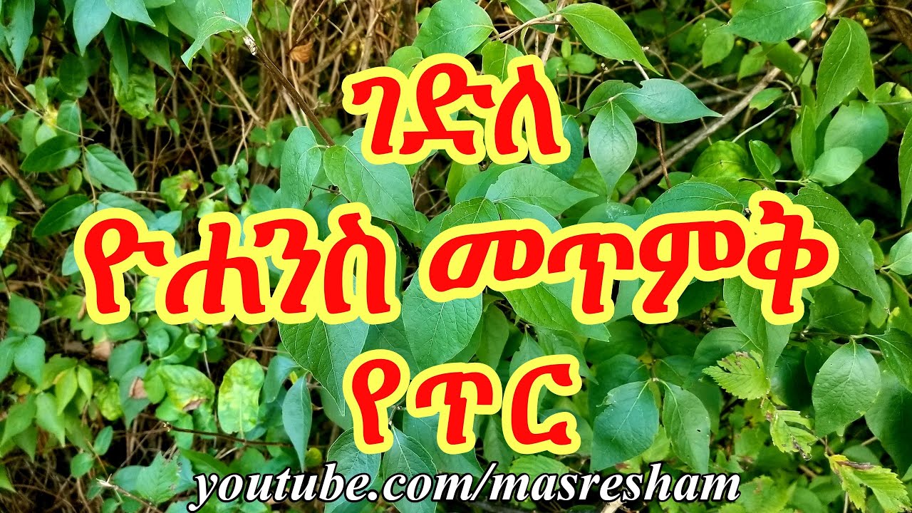 ገድለ ዮሐንስ መጥምቅ የጥር - Gedile Yohannes Metmik - Tir