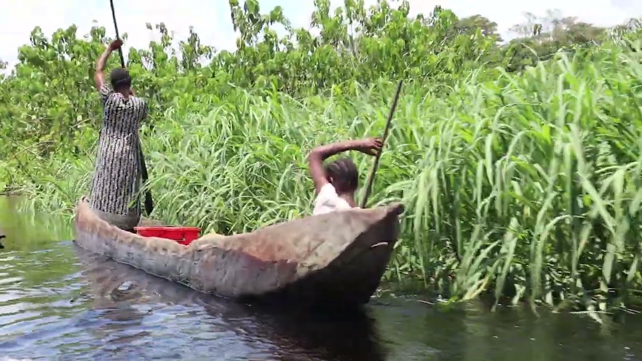 VERS BASANKUSU FLEUVE ET RIVIERE LOLANGA