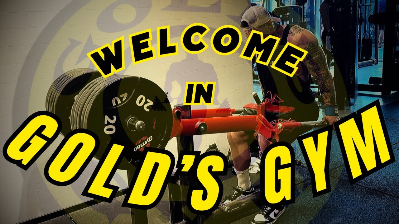 CHEST And ARMS in GOLD GYM MILANO