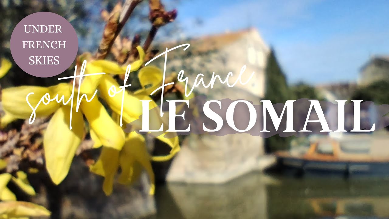 Explore a Magical Bookshop with me in the South of France 🇫🇷 French Daily Life