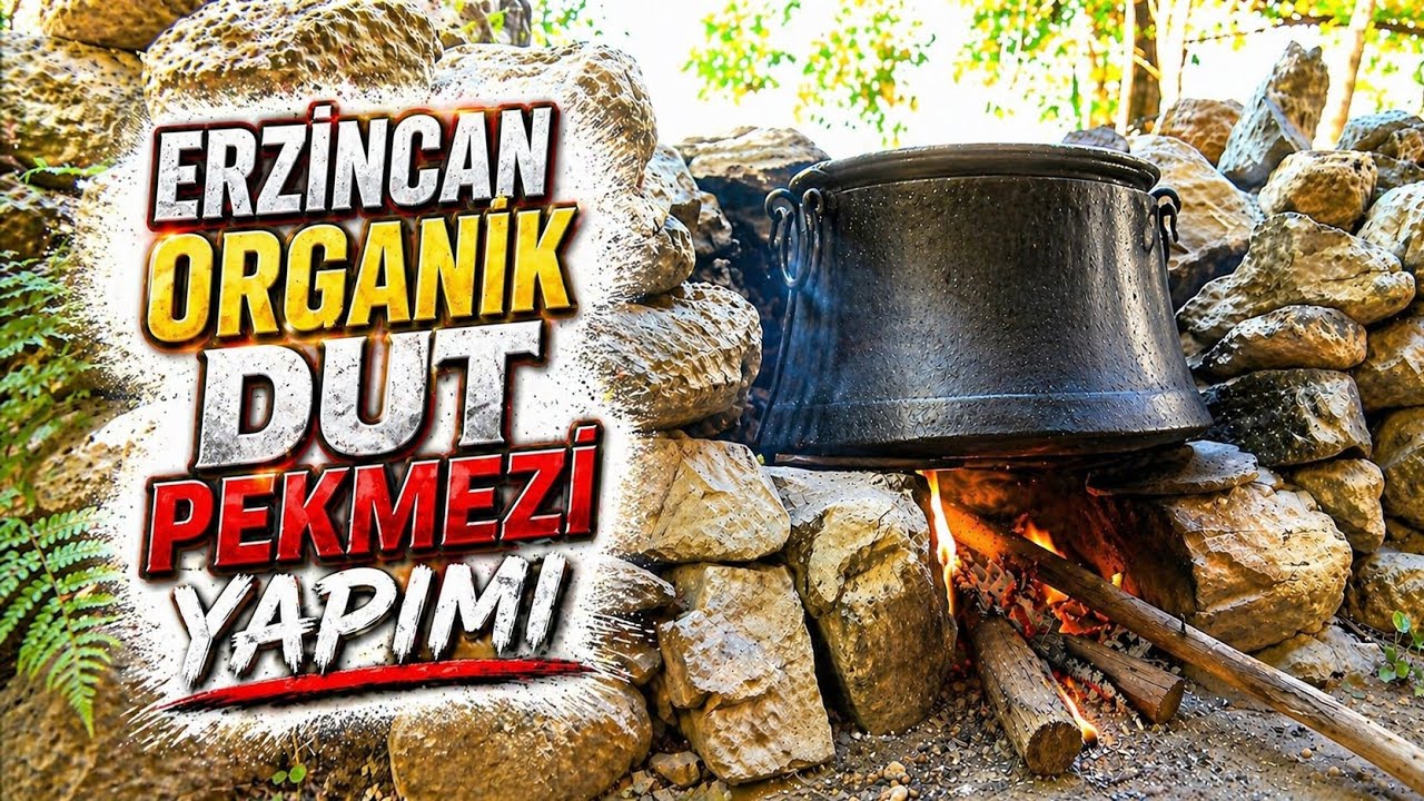 ERZİNCAN'DA ORGANİK DUT PEKMEZİ YAPIMI | PEKMEZ NASIL YAPILIR FAYDALARI NELERDİR