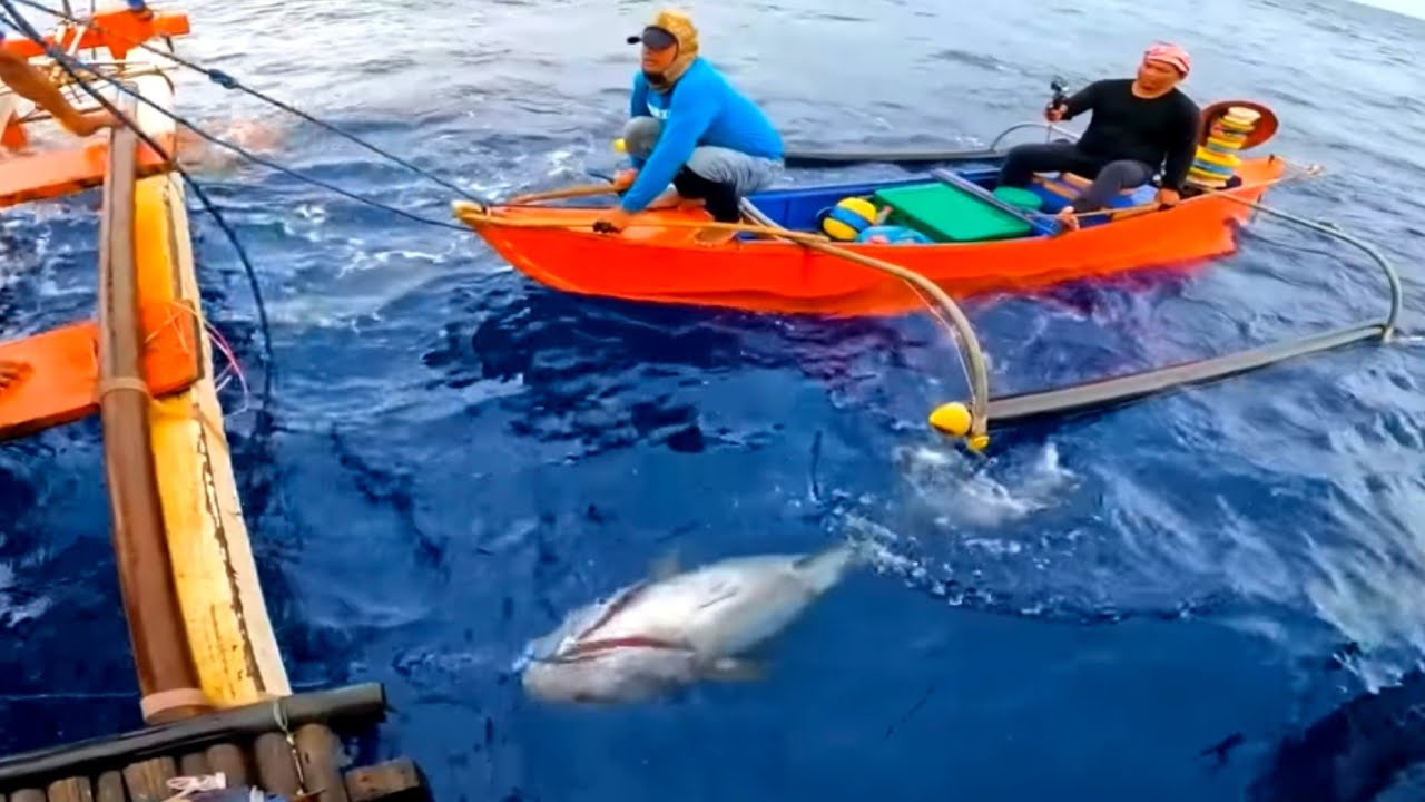 P12 - DAMBUHALANG TUNA - EP48