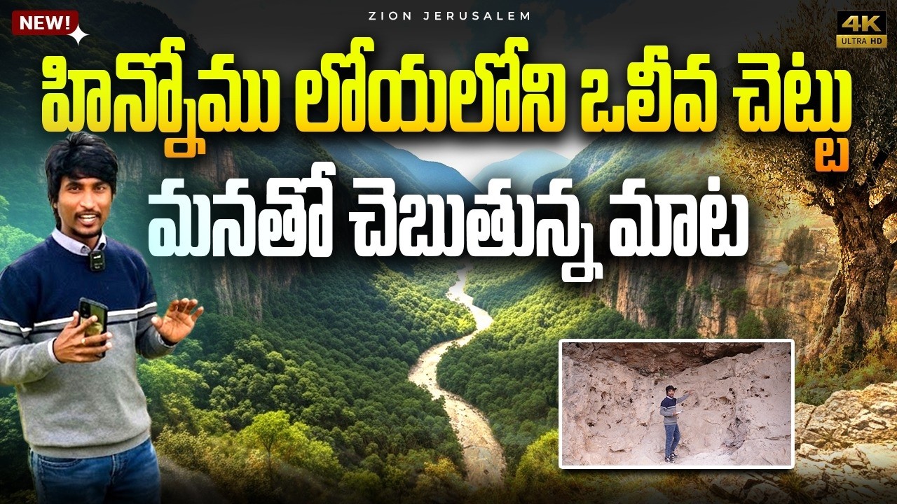 హిన్నోము లోయలోని ఒలీవ చెట్టు మనతో చెబుతున్న మాట II Olive Tree II Zion Jerusalem
