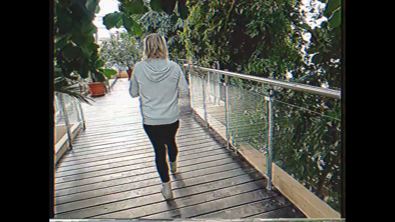Palmiarnia VHS