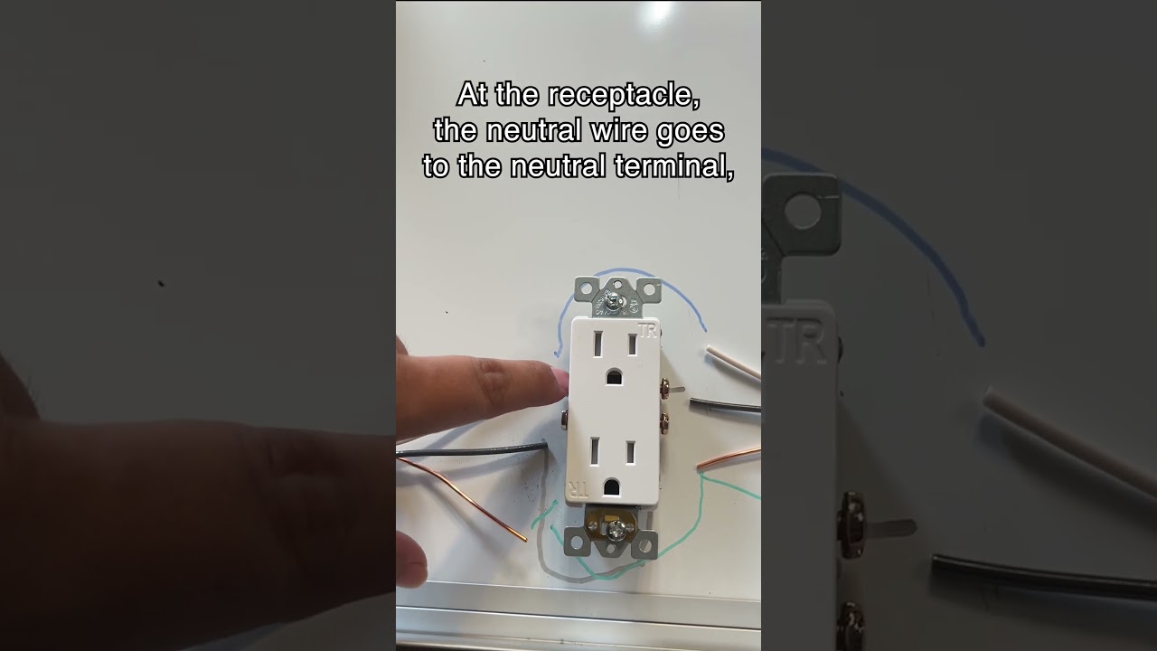 How to Wire a 15 Amp Receptacle #electrical #diagram #demonstration #outlet #device #wire #diy