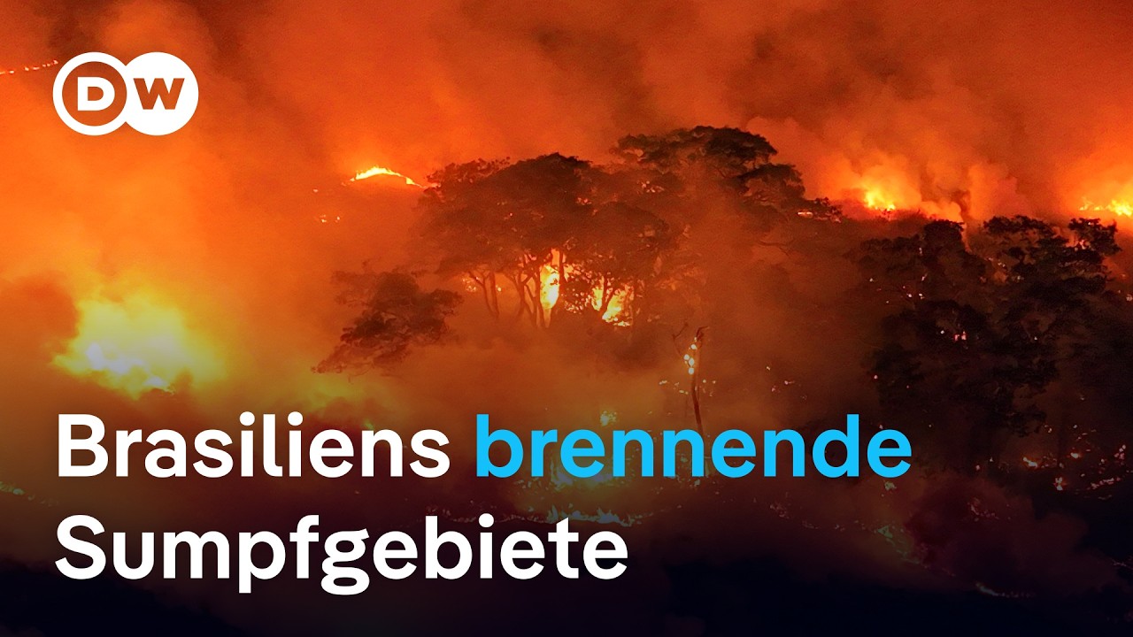 Viel zu früh im Jahr: Brände wüten im Pantanal | DW Nachrichten