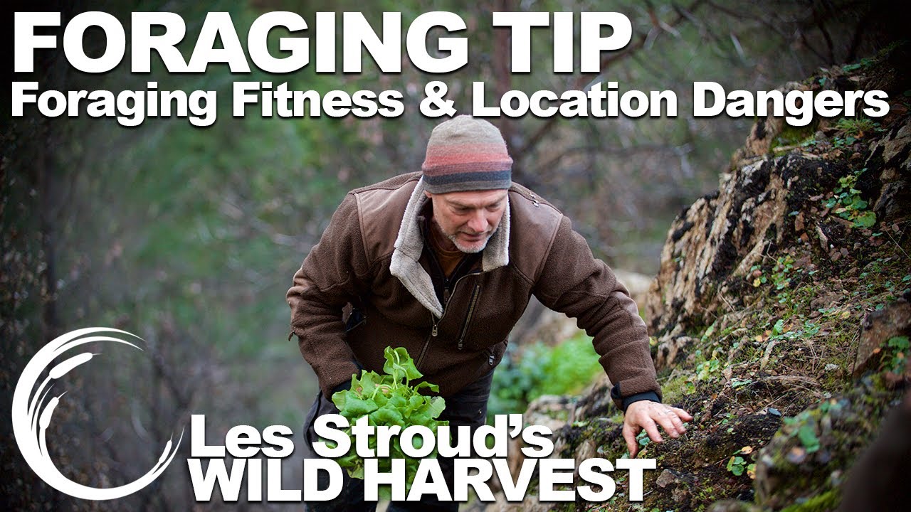 Wild Harvest Foraging Tip | Forage Fitness & Location Dangers | Episode 6 | Les Stroud