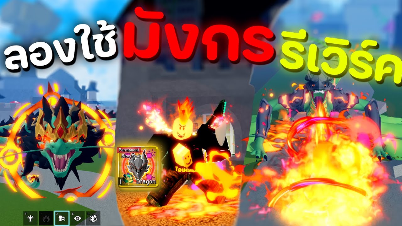 ผมลองใช้ผลมังกรรีเวิร์คทั้ง 2 เวอร์ชั่น [Blox Fruits]