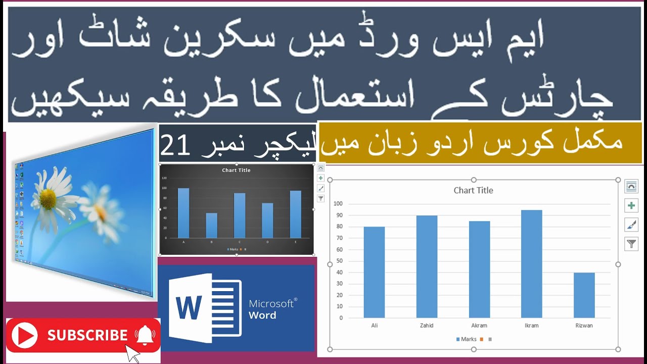Learn how to use charts and screenshots in MS Word Lecture #21