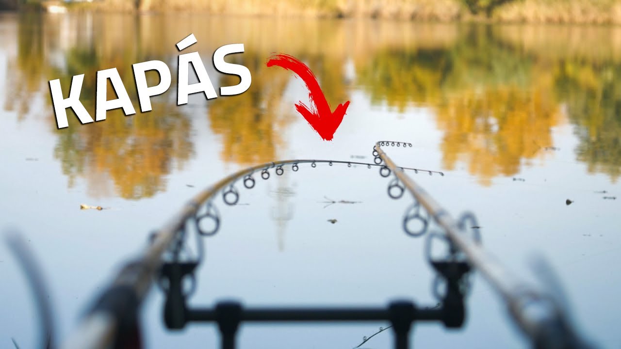 A legszerencs&eacute;sebb kap&aacute;s | Szavanna Horg&aacute;szt&oacute; | Őszi feederez&eacute;s | B&V Fishing