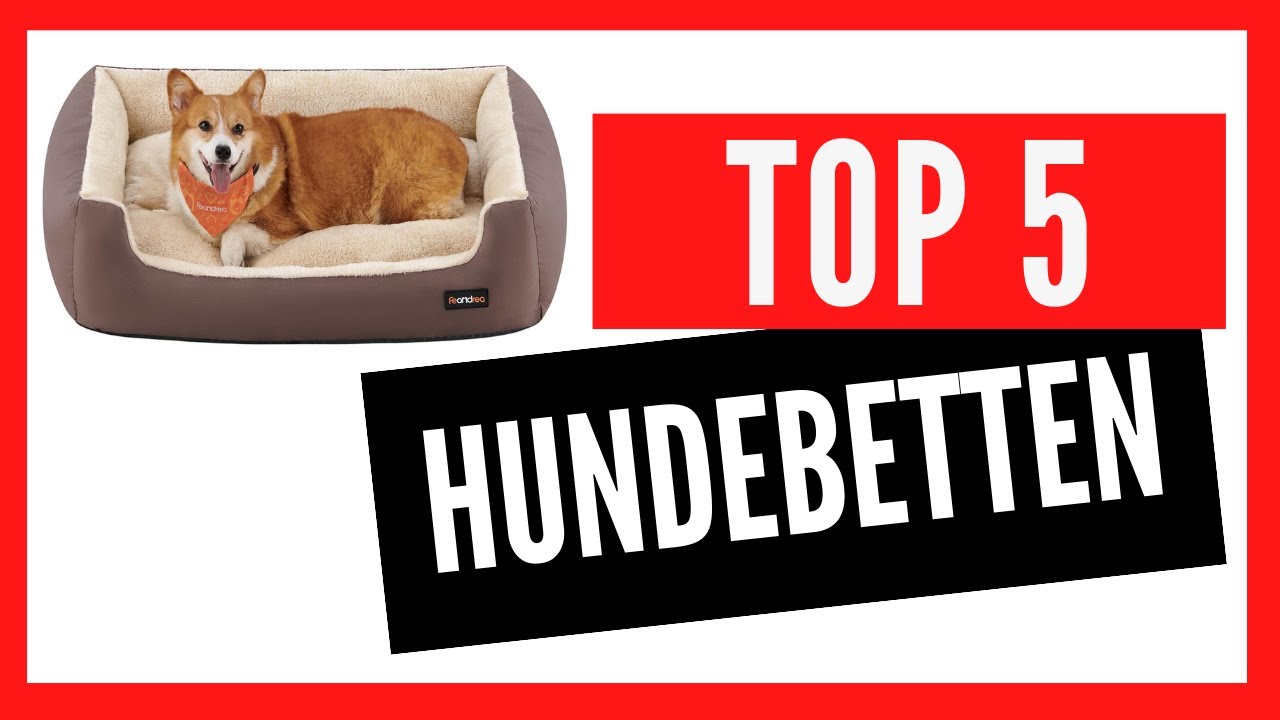 🐶🛏️ Top 5 der besten Hundebetten auf Amazon 2024 – Komfort und Stil für Ihren vierbeinigen Freund!