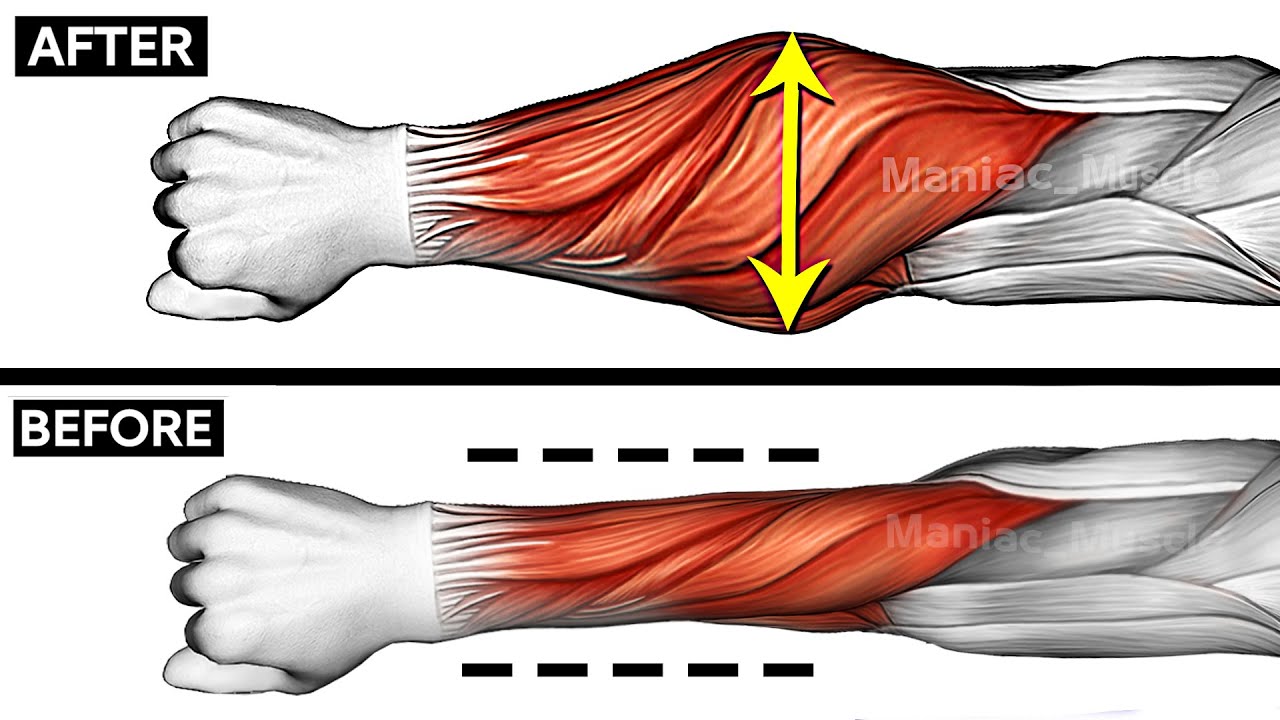 BEST Forearm Exercises ( Very effective )