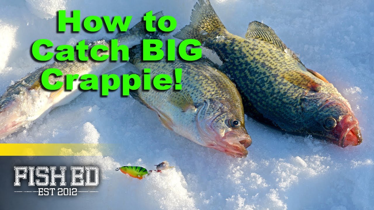 How to Catch BIG Deep-Water Crappie – Fish Ed
