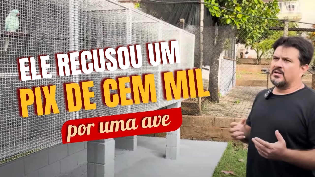 CRIATÓRIO PEQUENO PARA FATURAR R$1.000.000 POR ANO