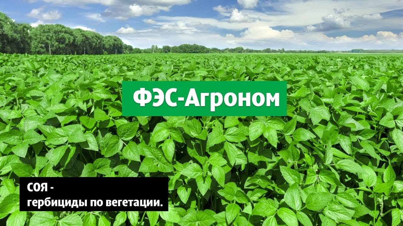 Соя - гербициды по вегетации