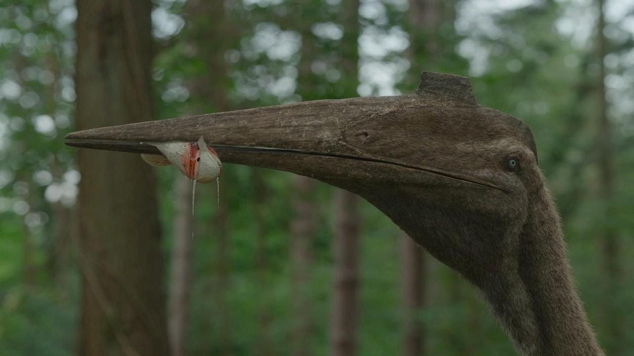 《风 神 翼 龙：史 前 的 内 卷》