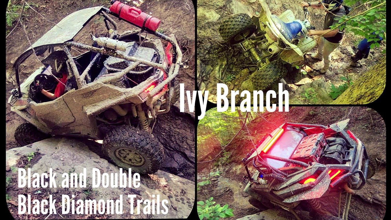 Ivy Branch | Black and Double Black Diamonds | Hatfield McCoy