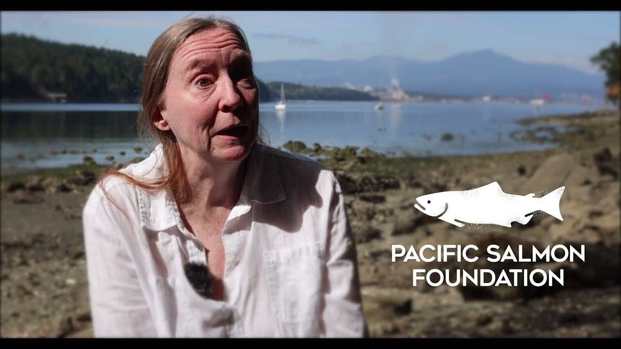 Researchers preserve genetic diversity of Salish Sea kelp