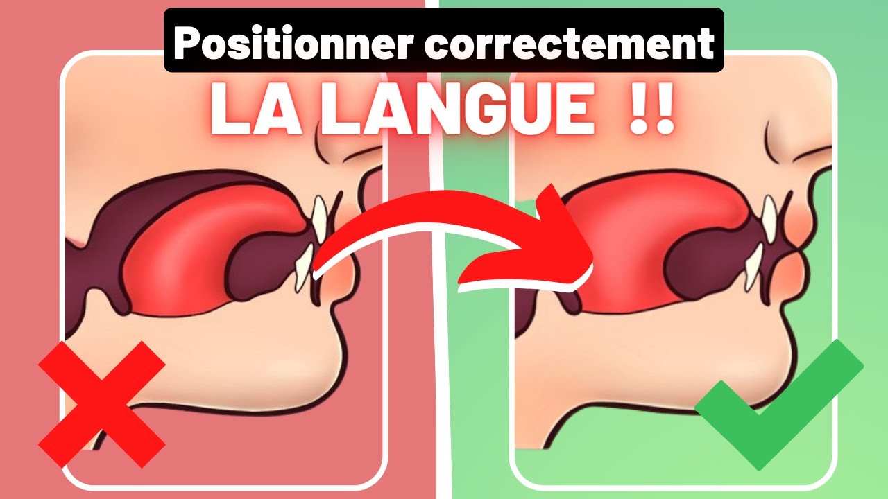 Comment mettre la langue au palais ?