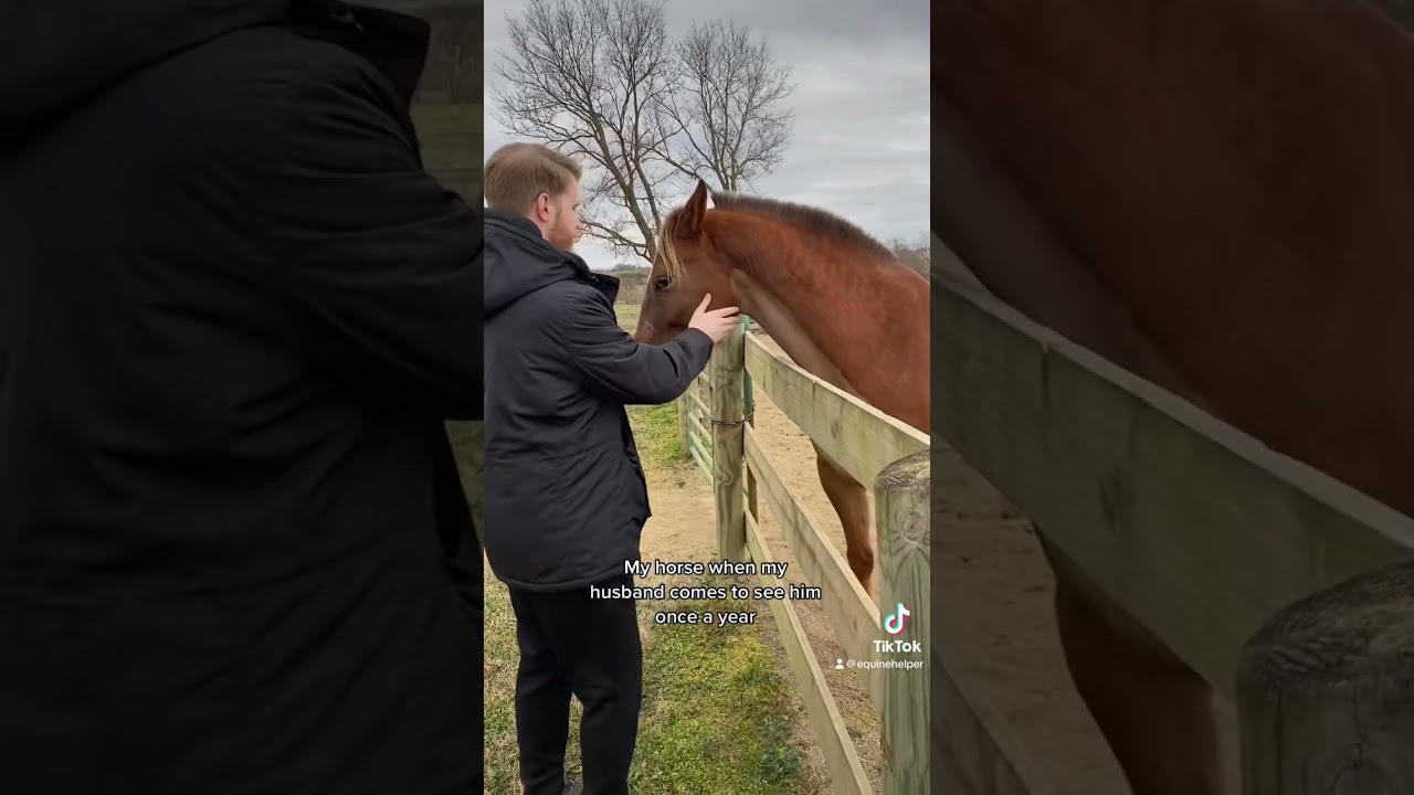 How My Horse Treats My Husband