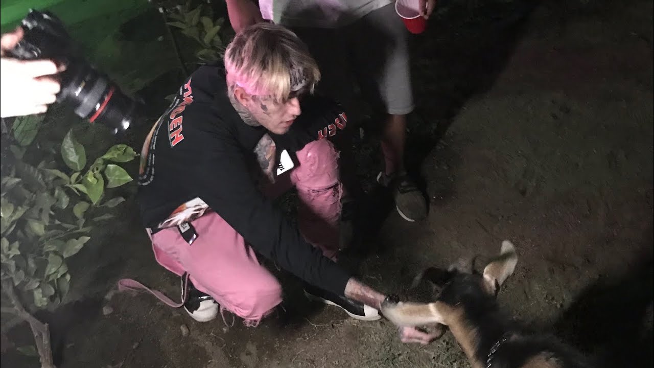 LiL PEEP - never sober [P.S. Fuck You Cunt Solo Version]
