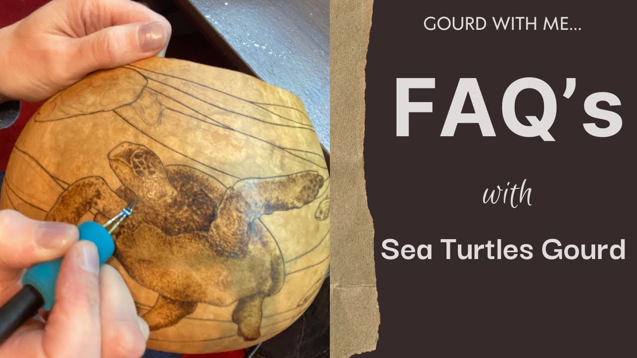 FAQ's with Sea Turtle Gourd Pyrography and Carving