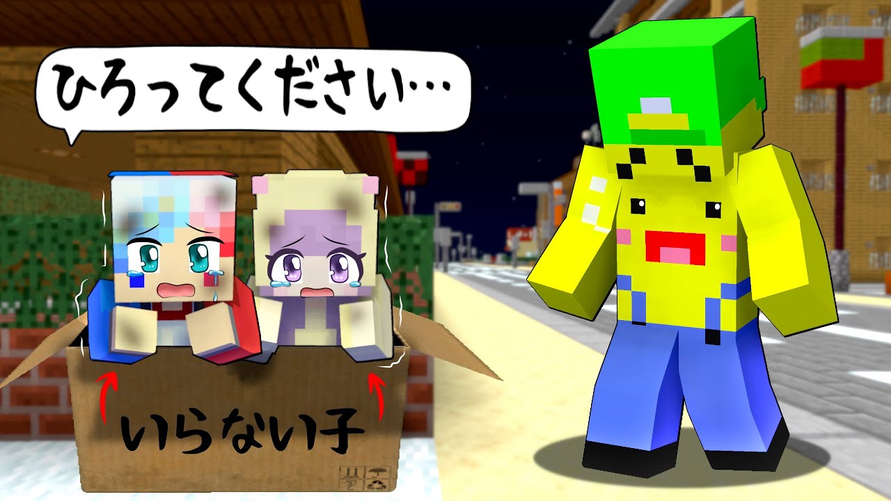 可哀想な捨て子が養子になった結果⁉️【マイクラ マインクラフト】ぽっぴんず