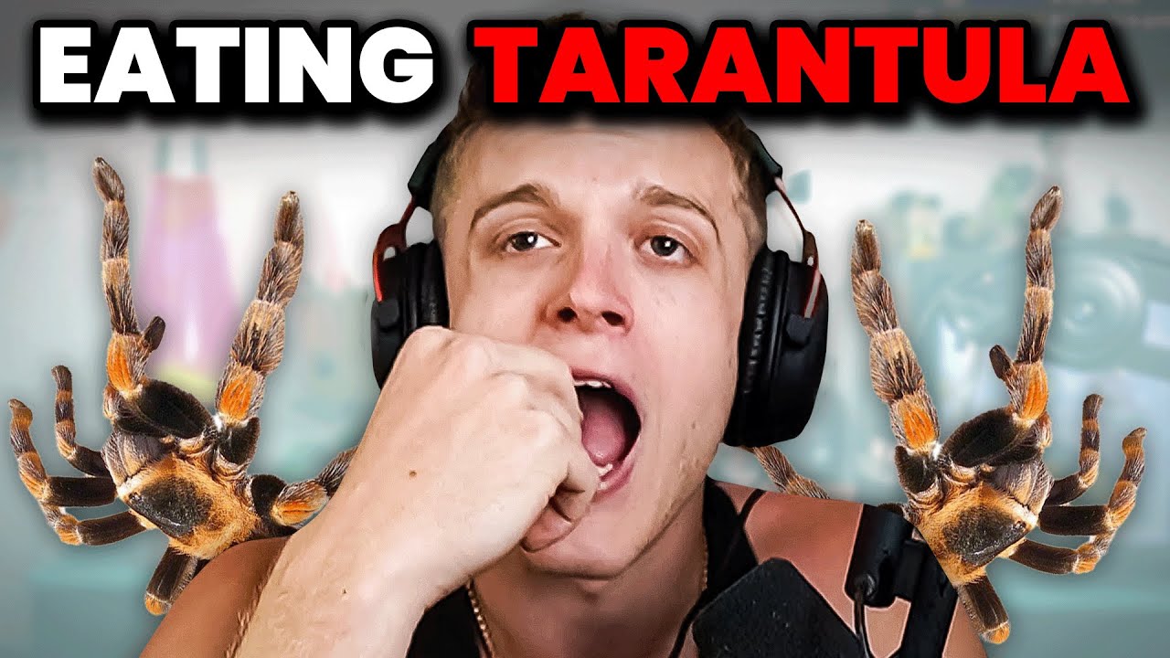 Chat Made Me Try Eating BUGS?!
