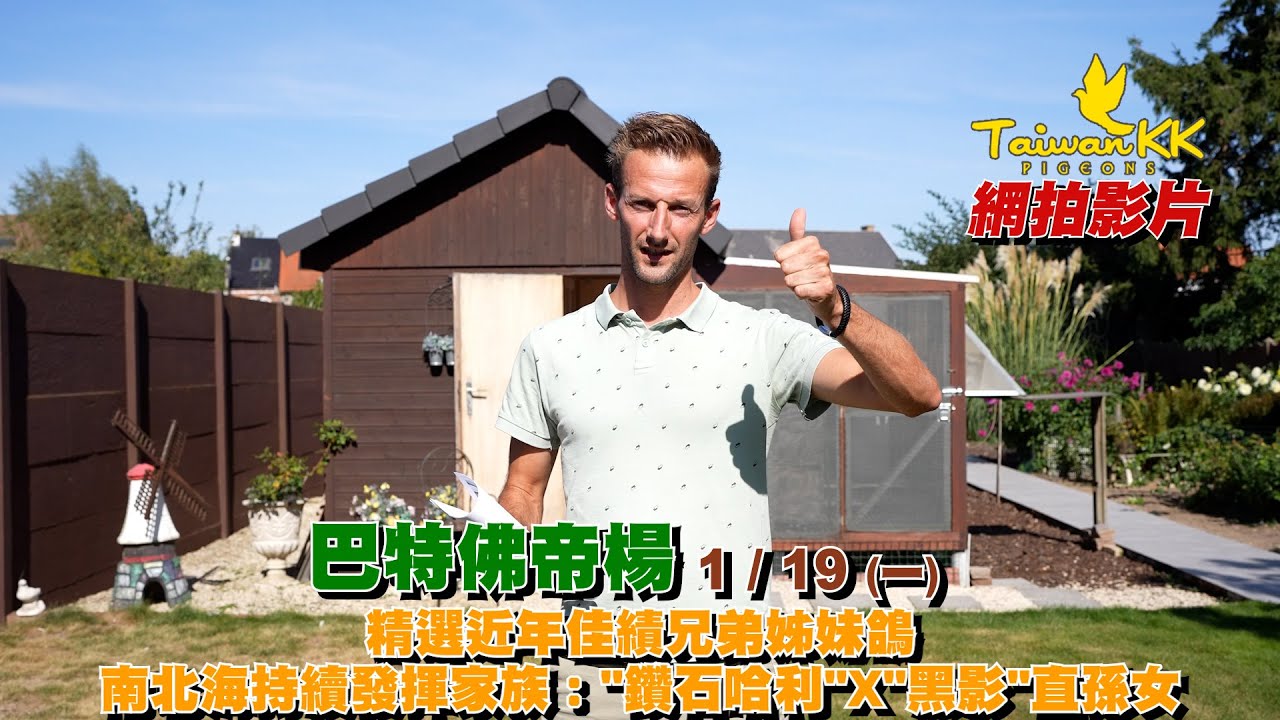 【巴特.佛帝楊】精選多羽紀錄鴿互配子代：省賽7位X波治3萬羽83位，