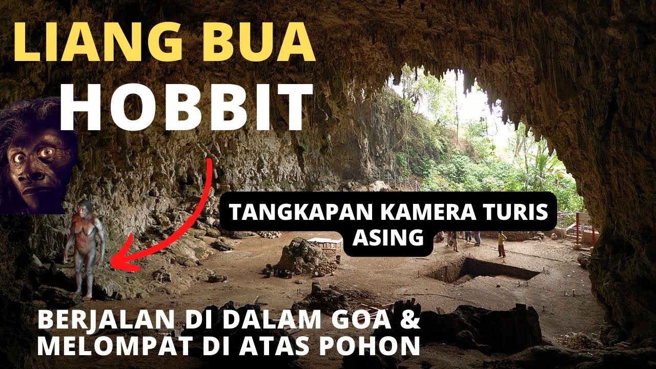 Serem!!! Penampakan Hobit di Liang Bua