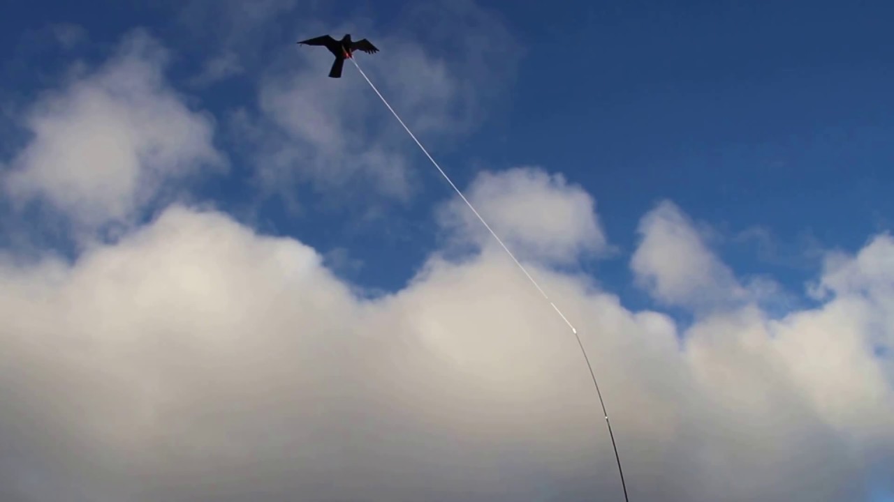 Scary Bird kite / Vogelscheuche