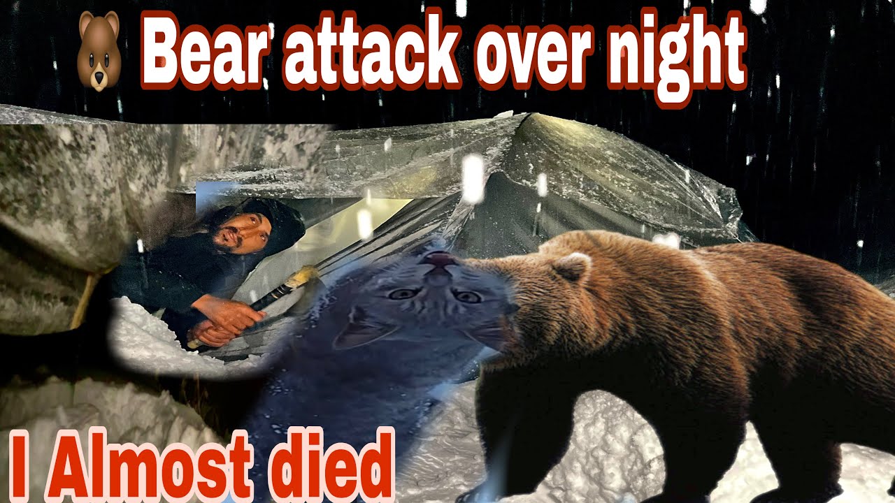 Hot Tent Snow Camping In Heavy Snowfall All Night | 🐻Bear Attack My Tent overnight Camping In India 