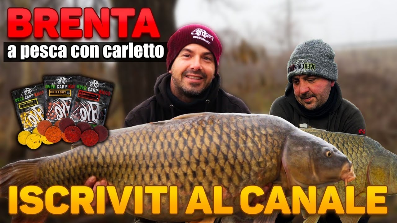 Fiume Brenta l carpfishing vlog l a pesca con Carletto #carpfishing #carpfishingitalia