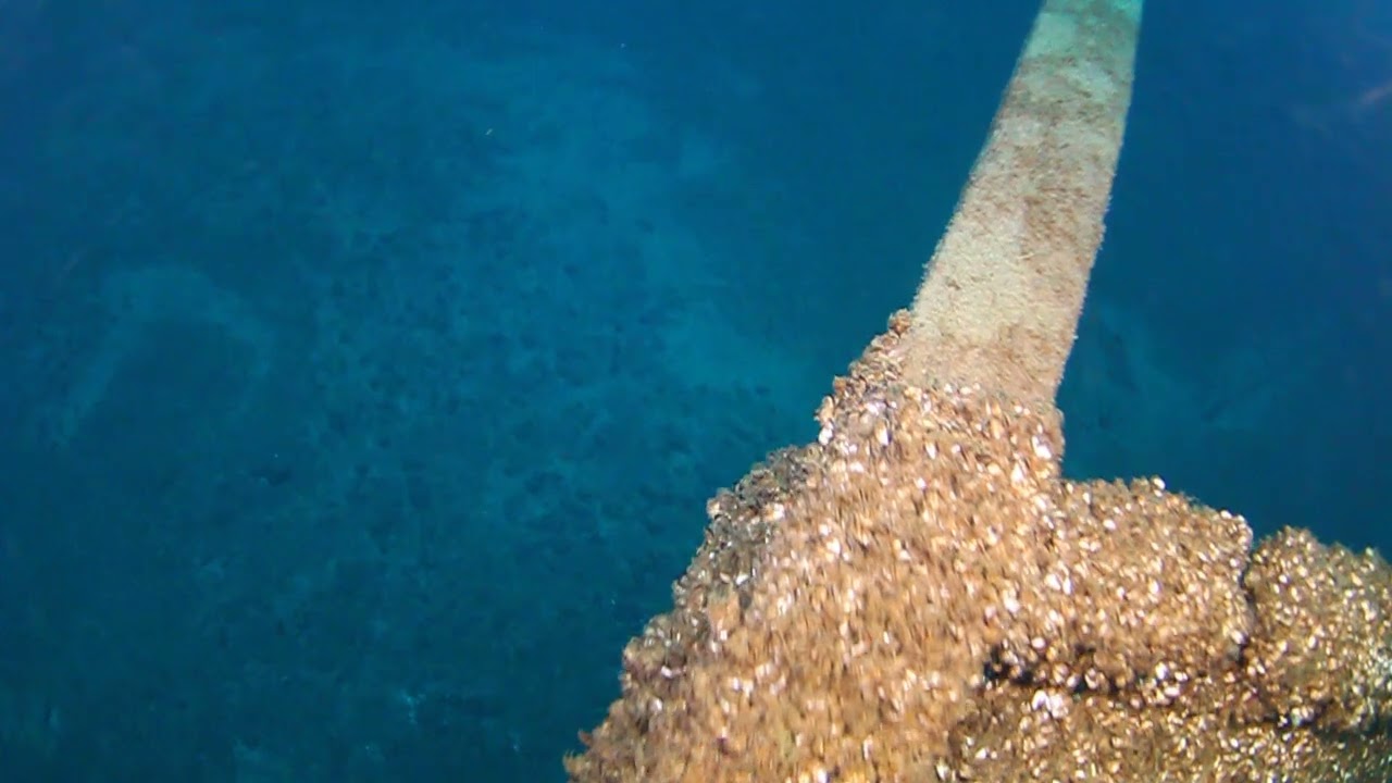 Shipwreck Wheel in Lake Huron