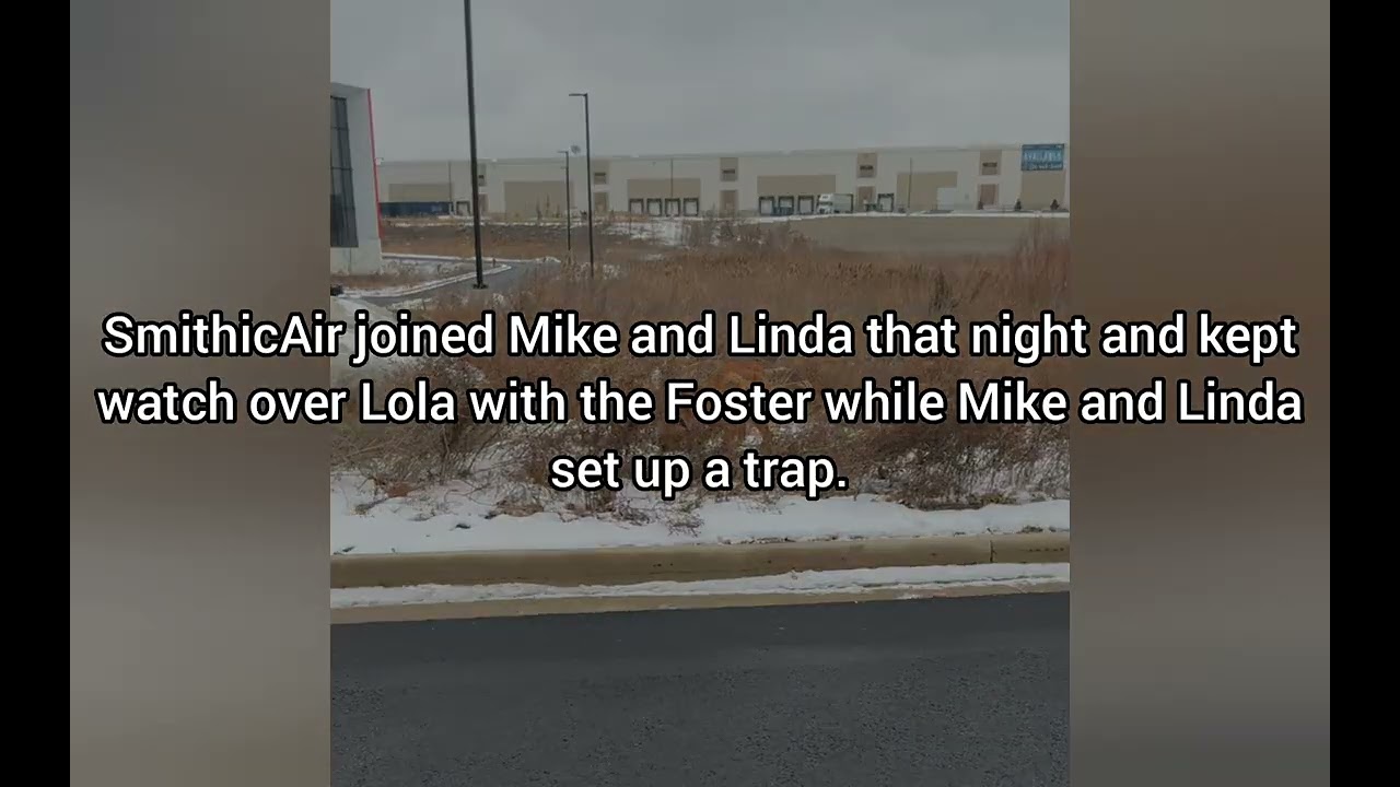 Lola (lost dog) enduring the frigid weather for 16 days found and safe - SmithicAir
