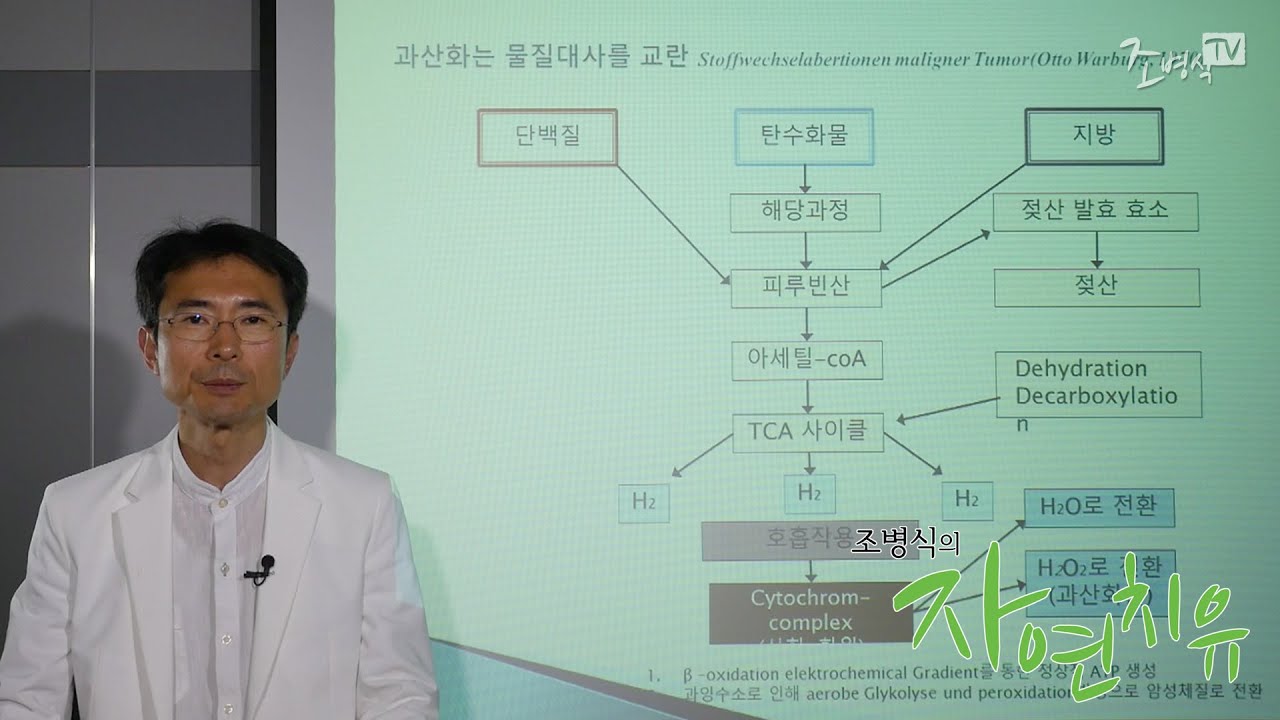 [조병식의 자연치유] 대사질환의 기전과 원인