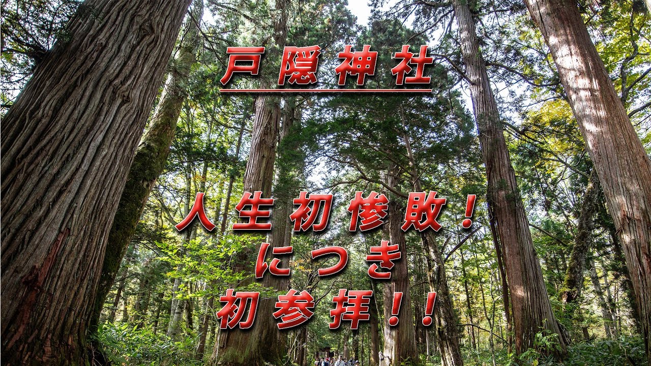 ＜人生初惨敗！＞を認め、戸隠神社に＜初参拝！！＞【戸隠神社】【奥社】　【しくじり】【移住失敗談】#神社　＃戸隠　#移住　#失敗談　#長野県