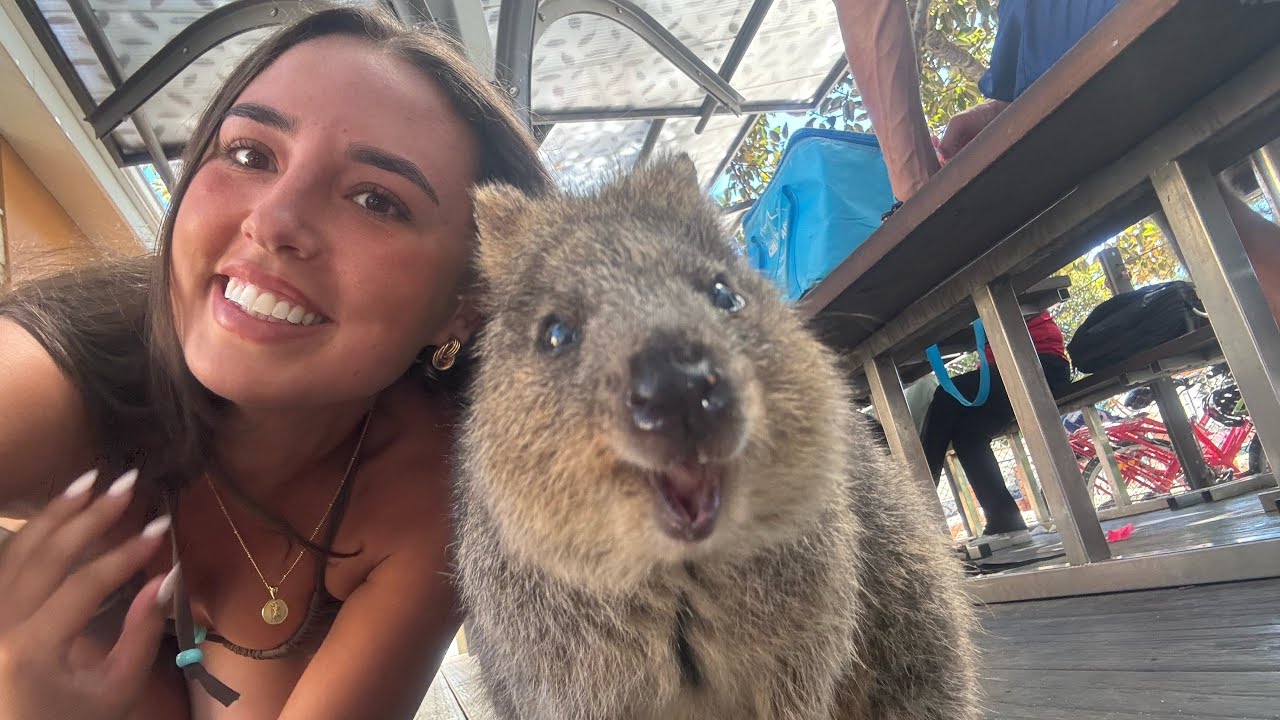 Quokkas Came Right Up To Us! 😍 Turquoise Paradise On Rottnest Island.
