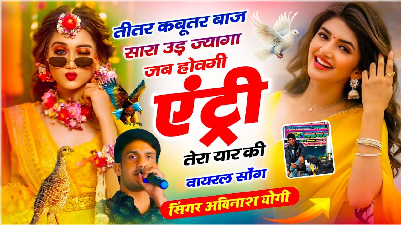 #Trending - तीतर कबूतर बाज सारा उड़ ज्यागा जब होवगी एंट्री तेरा यार की | अविनाश योगी ~ वायरल सोंग 