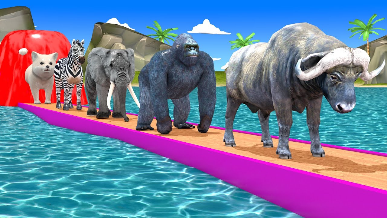Long Slide Game with Cow Elephant Gorilla Hippopotamus Tiger 3d Animal Game Funny 3d Animals