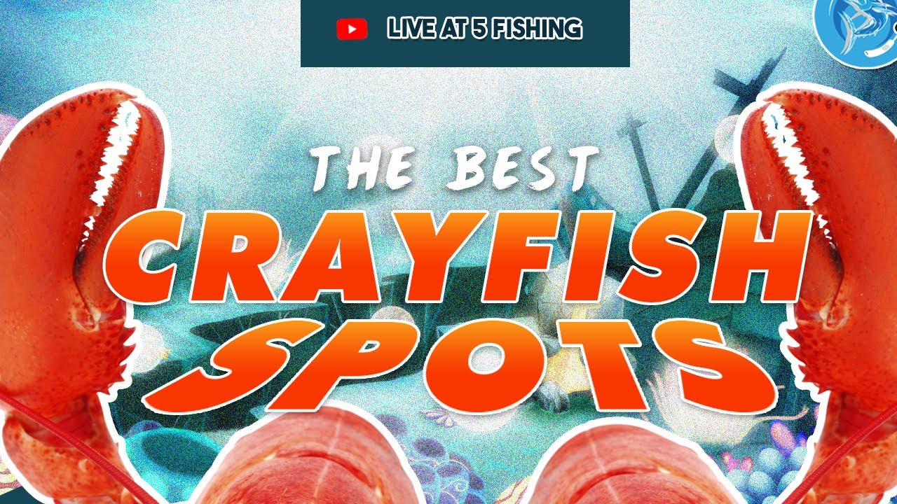 The  Best Crayfish Spots